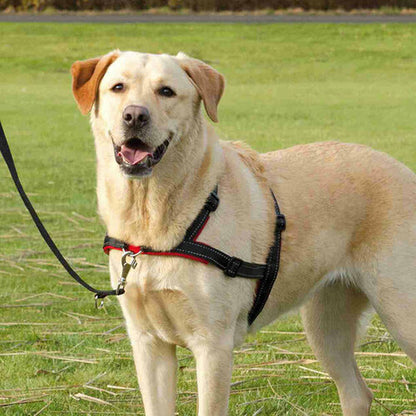 V8H716ABEA5AF4AE14F590340537C4D1615R7441892P8