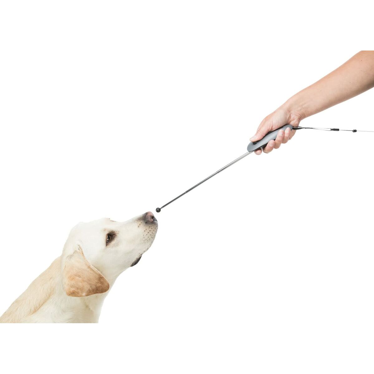 V7HF8EE8C138EBAADA31F4967C7F112FAABR5332022P6