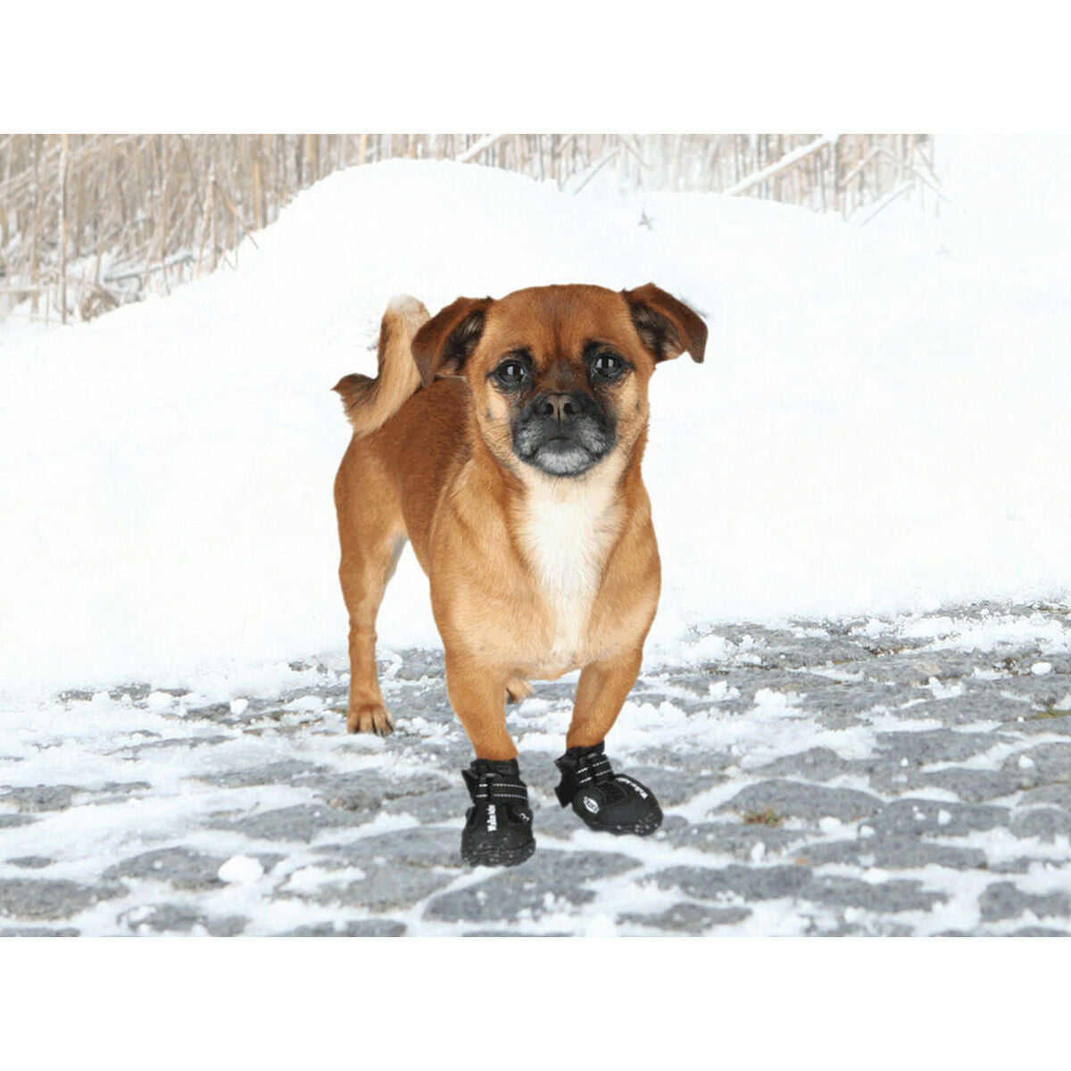 V4HF3E5F1D5EA32A97C385B26C6105FBDA9R7440386P3