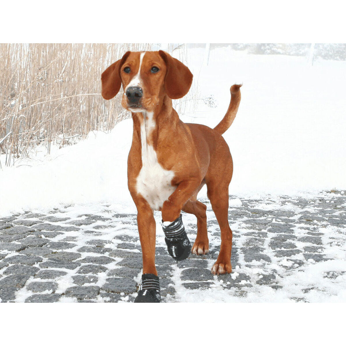 V7HB9A192297F7242F48A946A04B69FA6FBR7439644P3