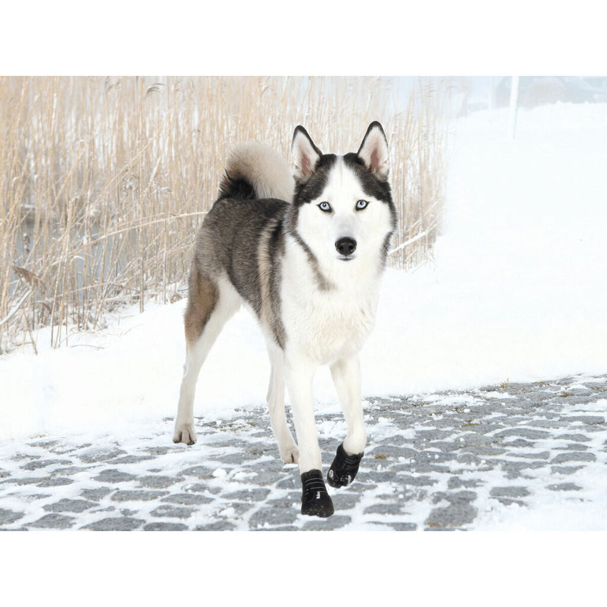 V4HD80E41F39B328607ADEB3A84A7E6D450R7439950P3