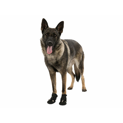 V4HC6616CF4D4BE612CE50FBDE4DBF83B10R7439958P5