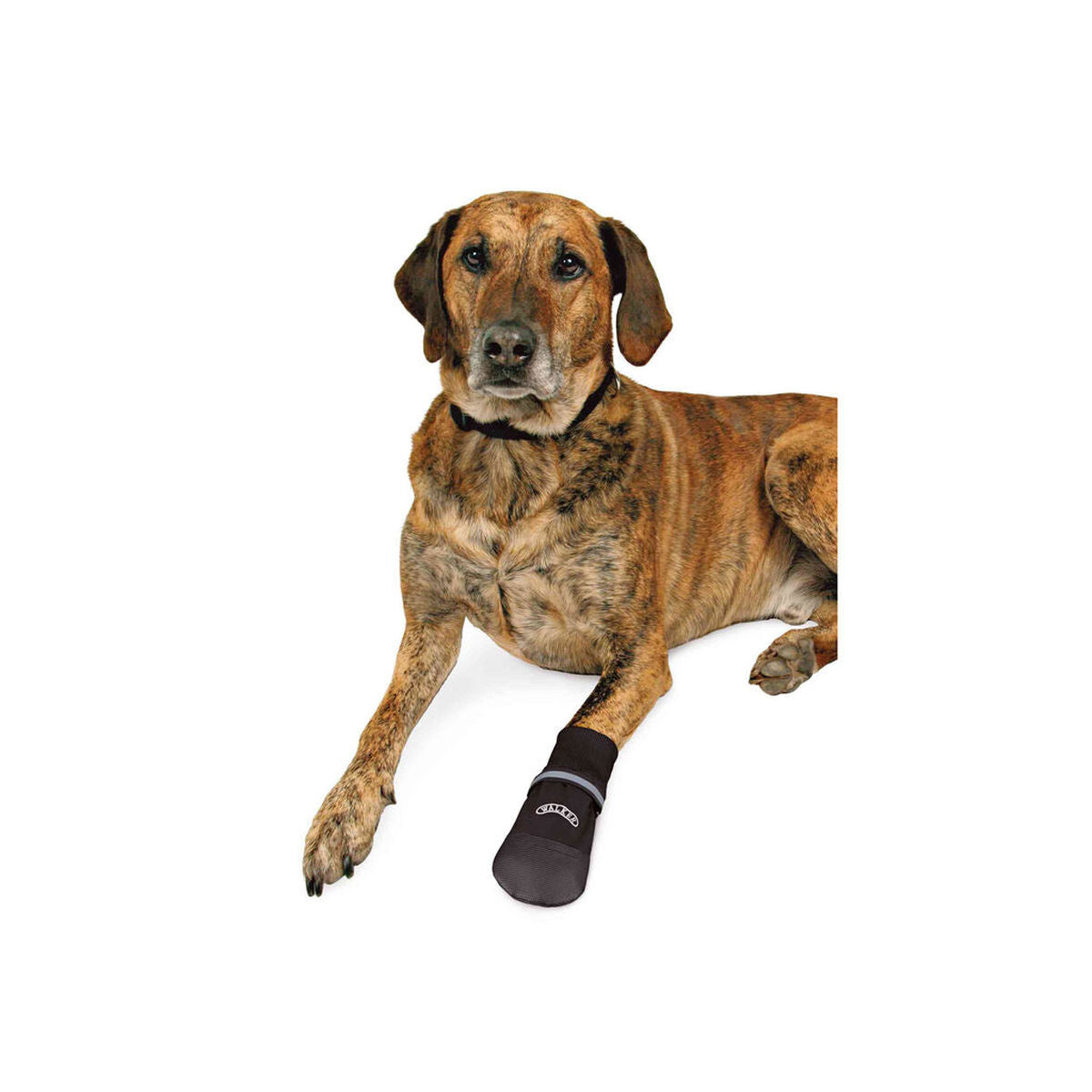 V4H11CAB98A5FF927BD2C1C8525C7F86314R7440488P3