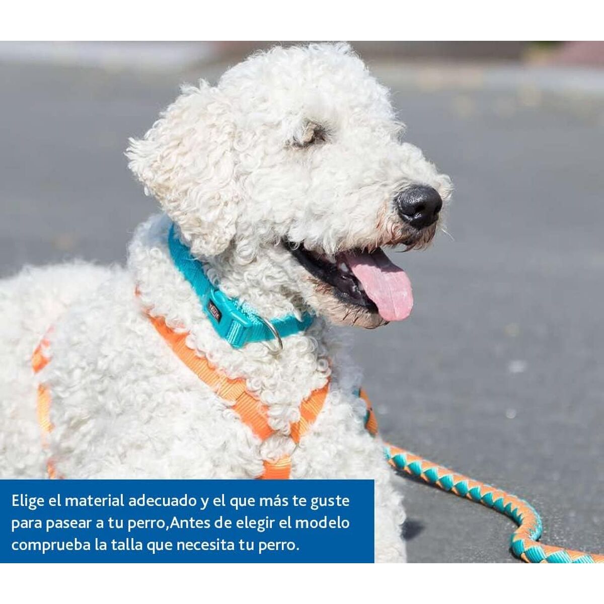 V2H2AA118F9B5149999548170B87073BF30R7804963P8