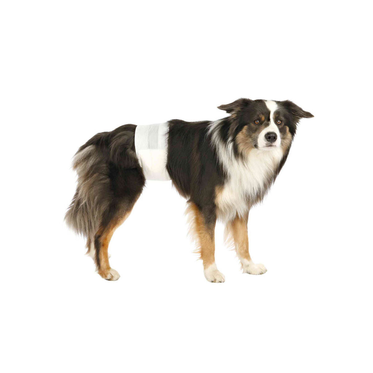 V7H03100ECB9C52B1E8154C4B677A2DBBE7R7443670P3