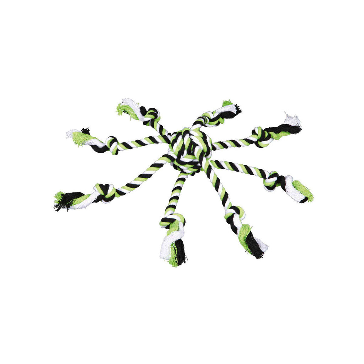 V8H1889D6203CD55E300992B409D44CF7D6R7443273P1