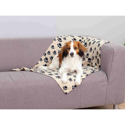 V7HB9138F05E080C819065CED97040FA7F5R7444589P3