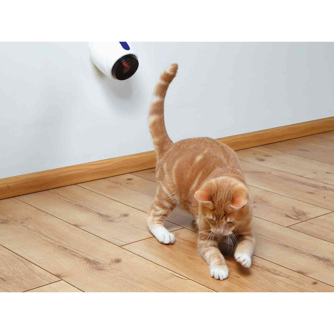 V7H70A80F3584E05DFDCA1F403759ACCCD3R7444892P2