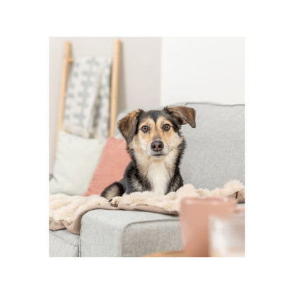 V5HEBBF6974E44047768BAEE0ED96CFBEECR7463009P3