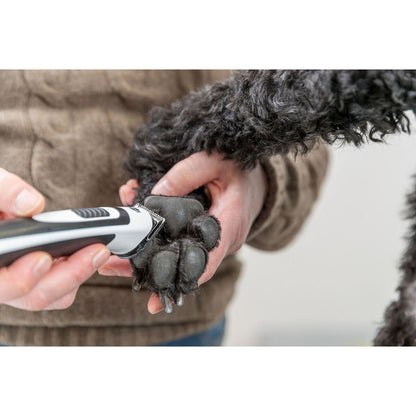 V2HDDE9E6C5A75E49B83412379A6A195D92R7610923P10