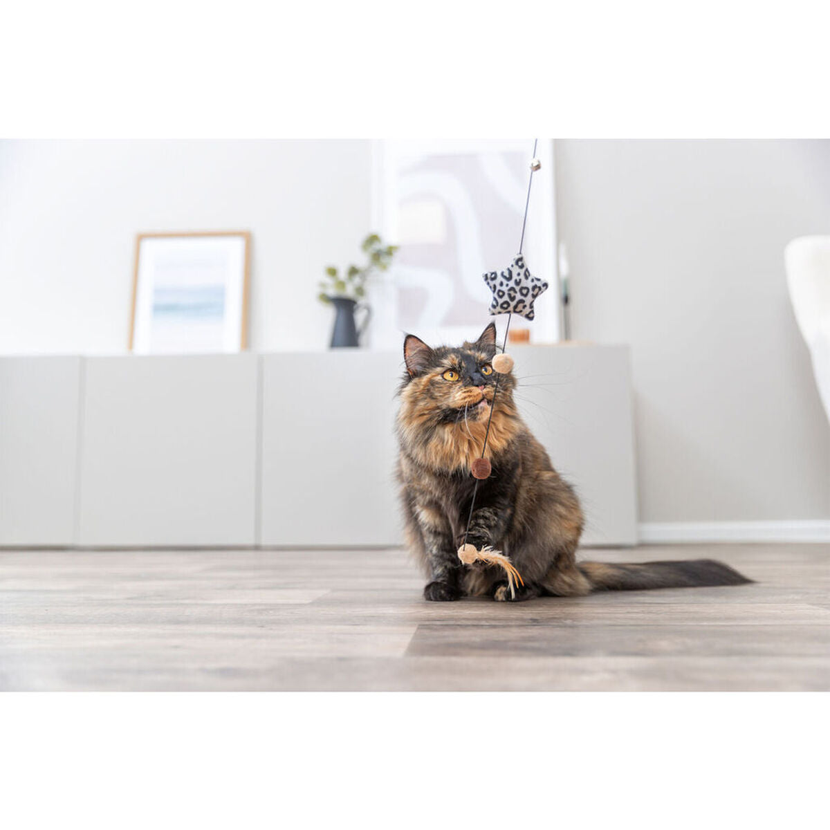 V4HC3664ABABF025585A8C9C3FF728F1C7DR7505407P3