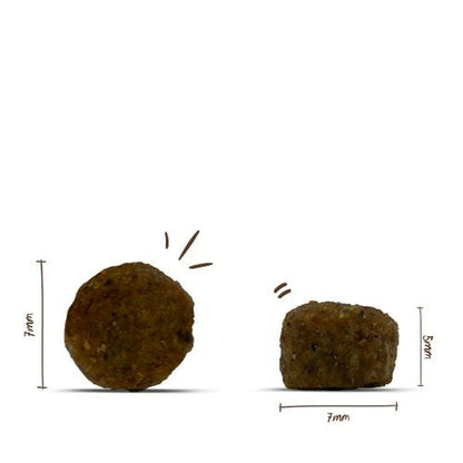 V4HBEF2A6E2D5EFBBF1D7DE9BD94E015388R5624093P2