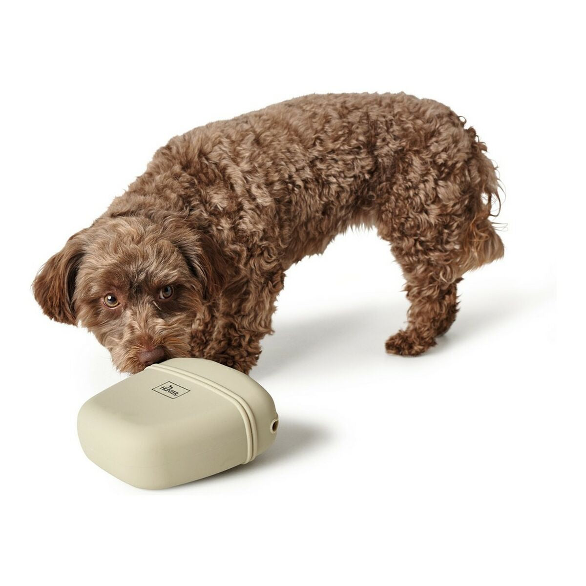 V11H9B2372A6601D60D6D63853F31A559EB5R5597718P3