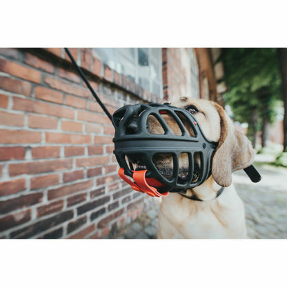 V10HE43EF6EE9C33933B4D1716E112A7F166R4989129P3