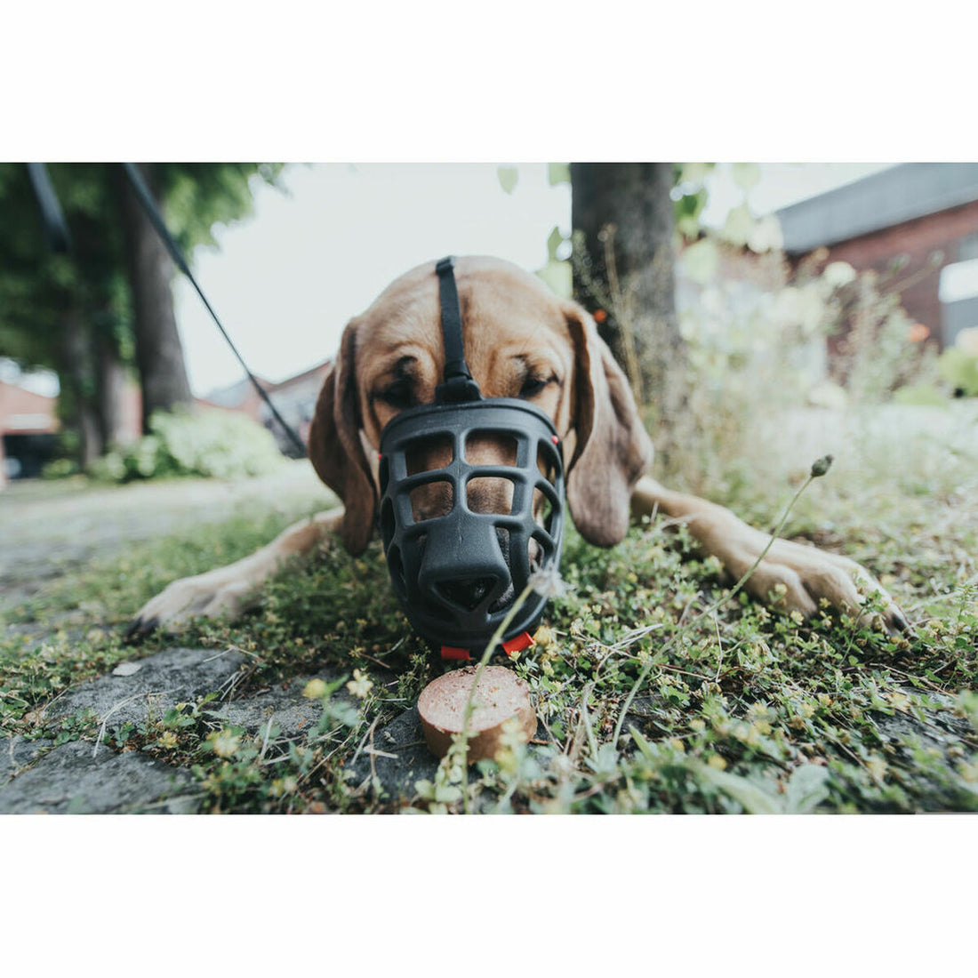 V10H771AF0D33BF194EEA2063116AC0CB767R4389382P2