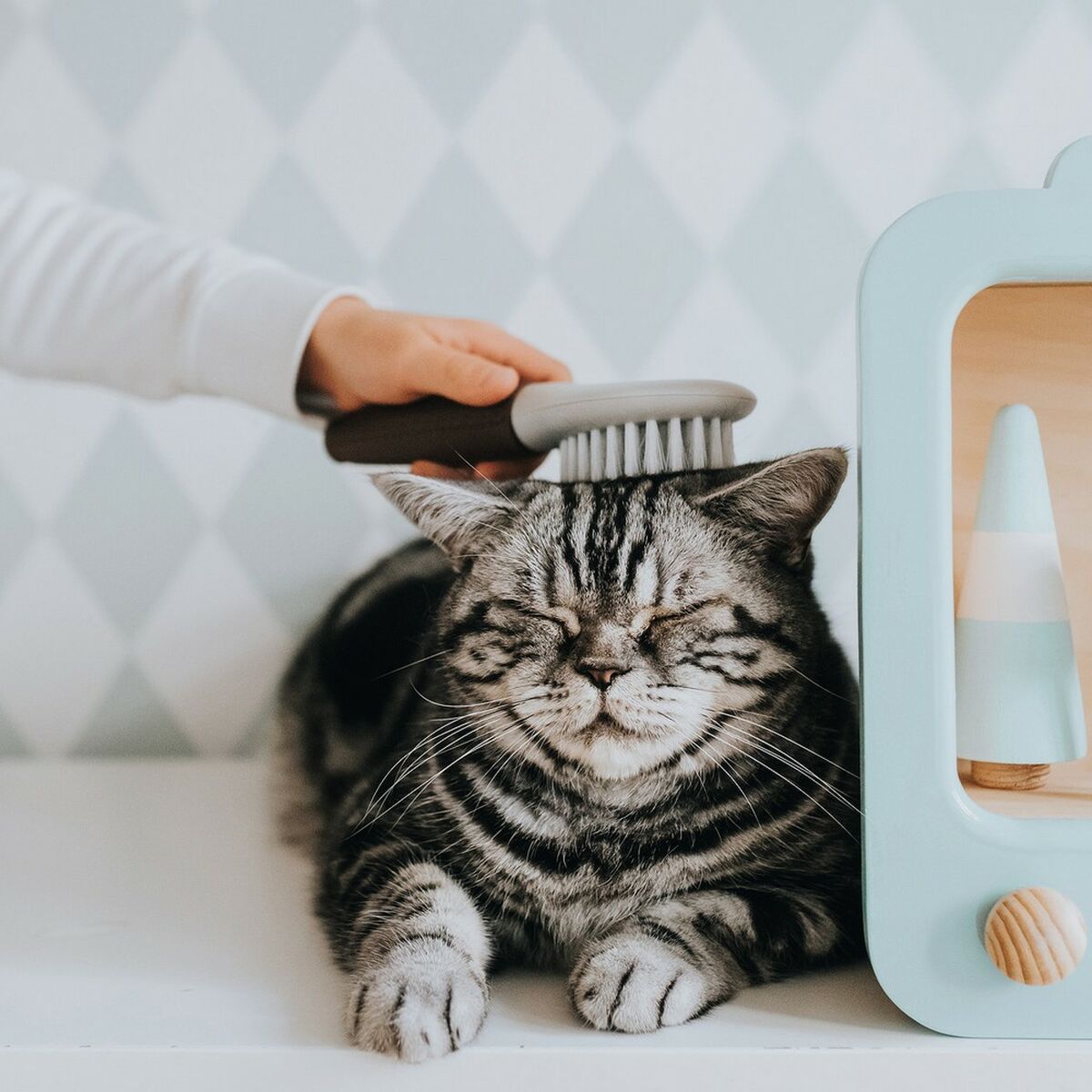 V10H66E6C00C3C3A56D39CEB2481D184AC19R4267965P3