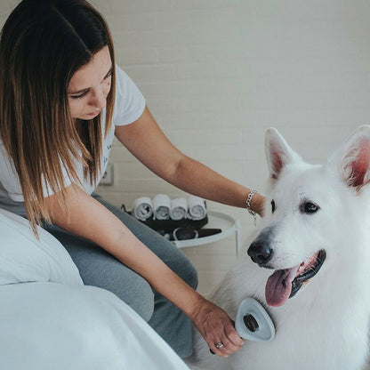 V9HB999B022ED9FAA808970463E0AA98B2DR3618719P6