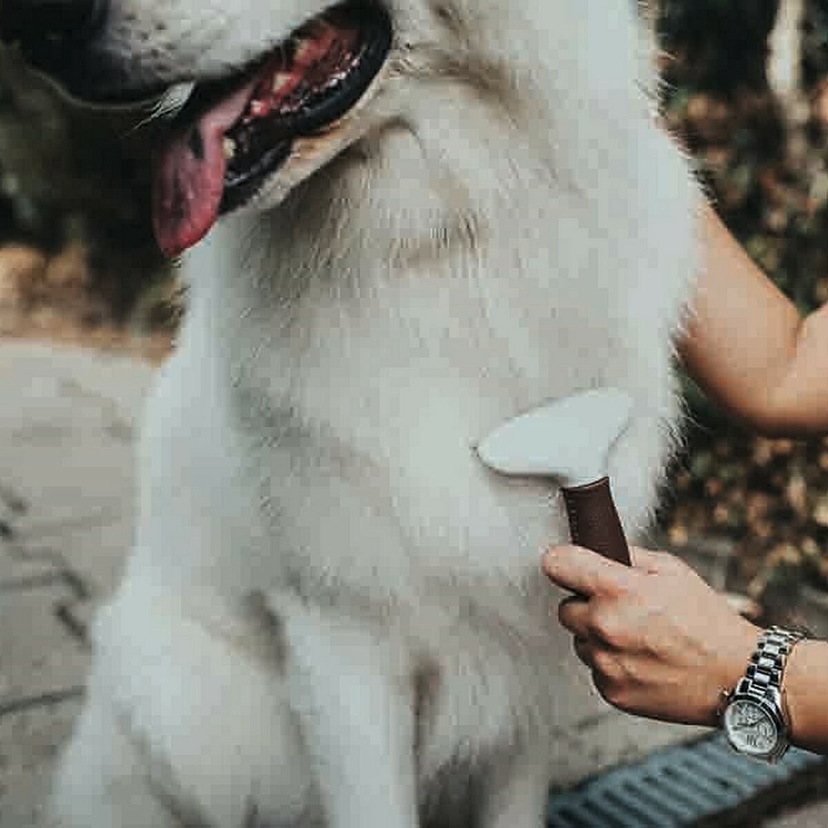 V10H31D66352C141FC1F9122397DAD867011R2351998P3