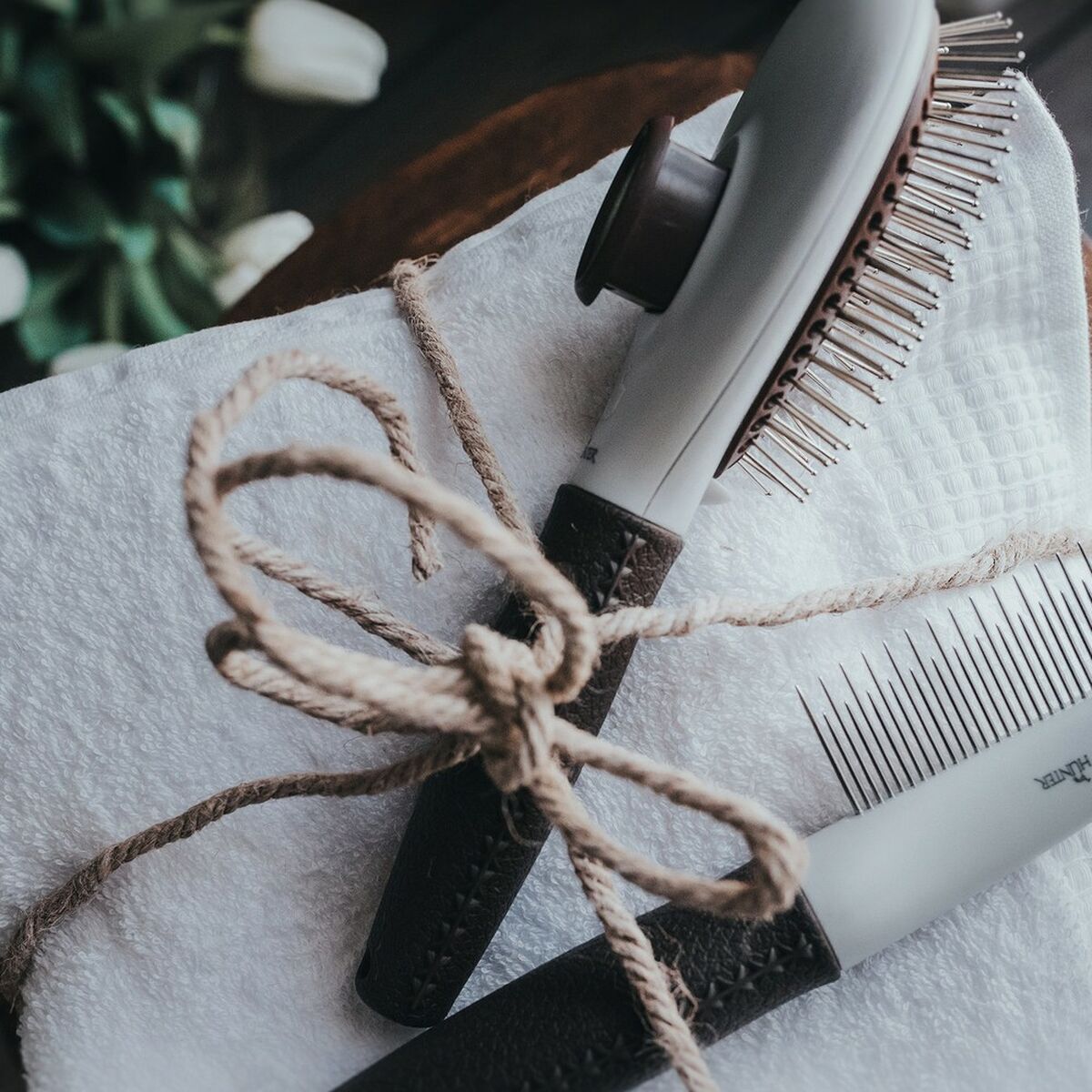 V10HB88C0B3ABBF9EE4C852E137702648200R7431109P3