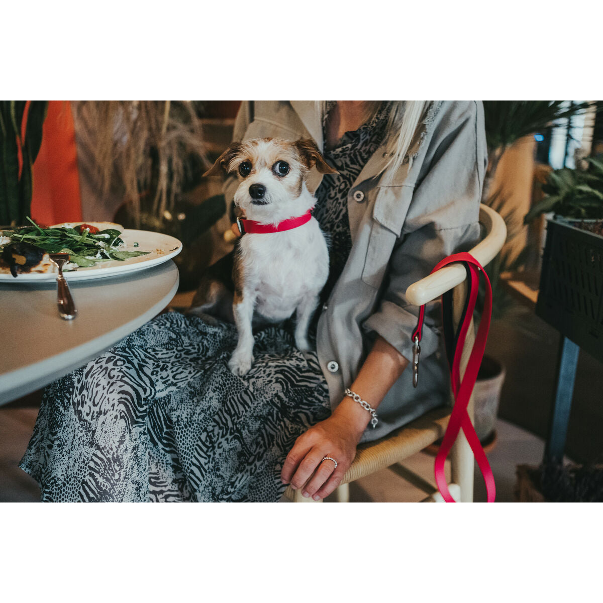 V8HE45388FB7FCD6A9FD34A0AEED93F6C6BR3622776P2