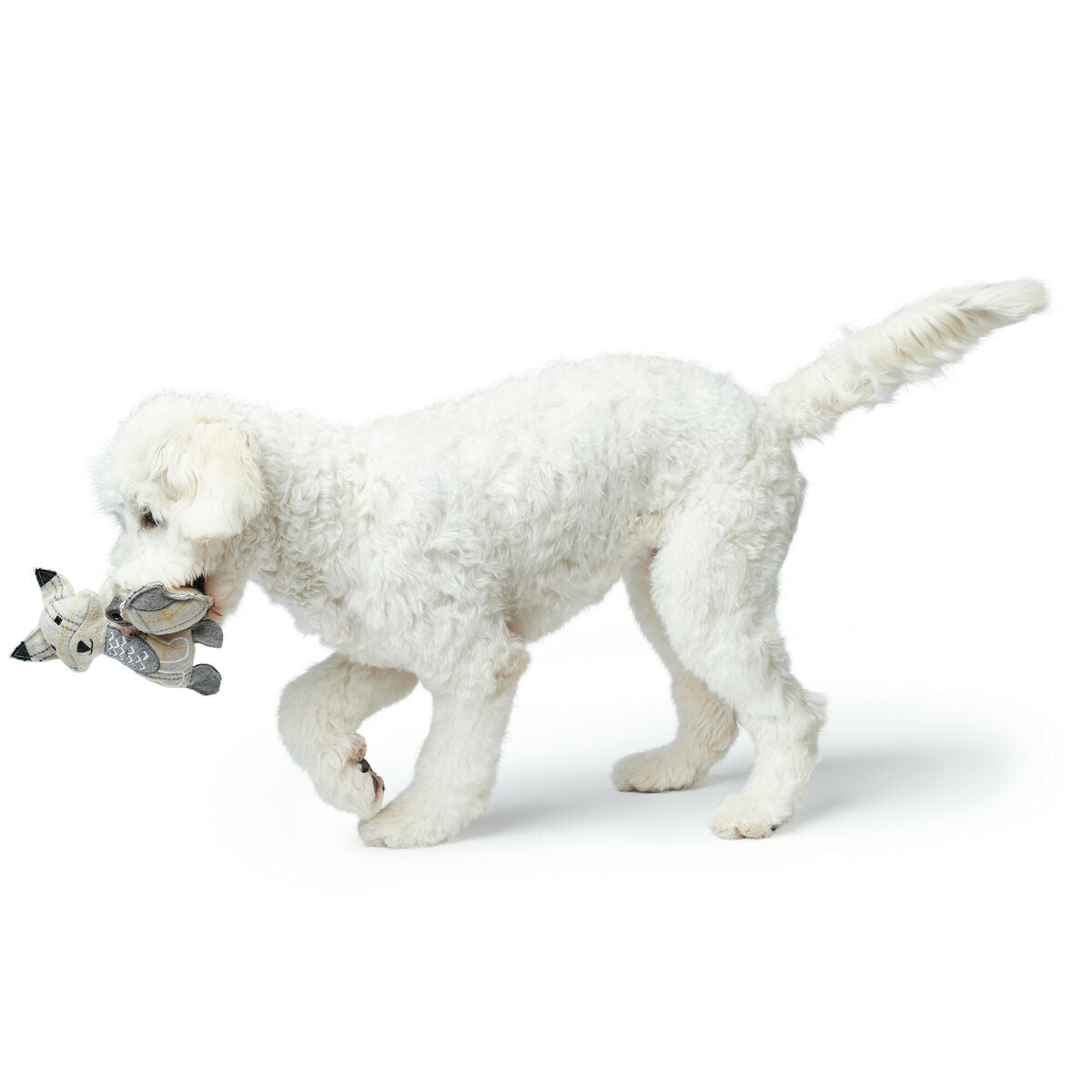 V6H8EC620E247145AF2BA259624D9B27163R5333694P2