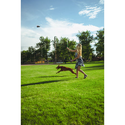 V6HBA1138760C29CBA0393E13926BD63E9AR5333753P6