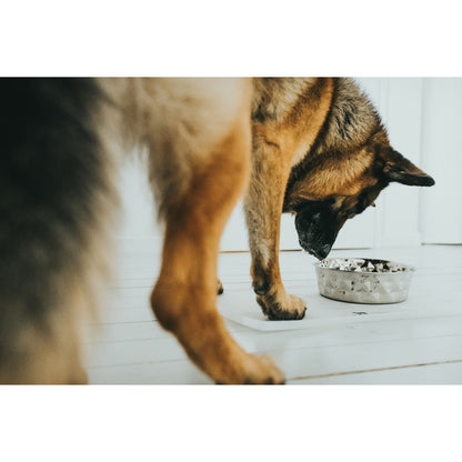 V6H1836F98BE08ECCA75F368AB29BED3073R4438169P5