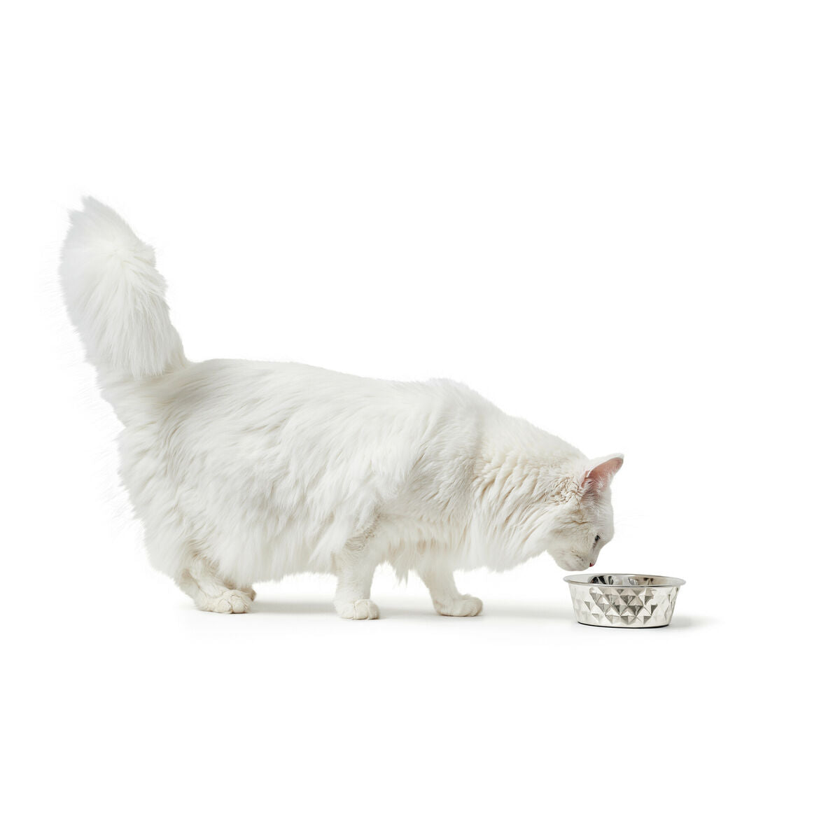 V6H46A71AA14534FD35D6A0AFE7281305D5R4438196P4