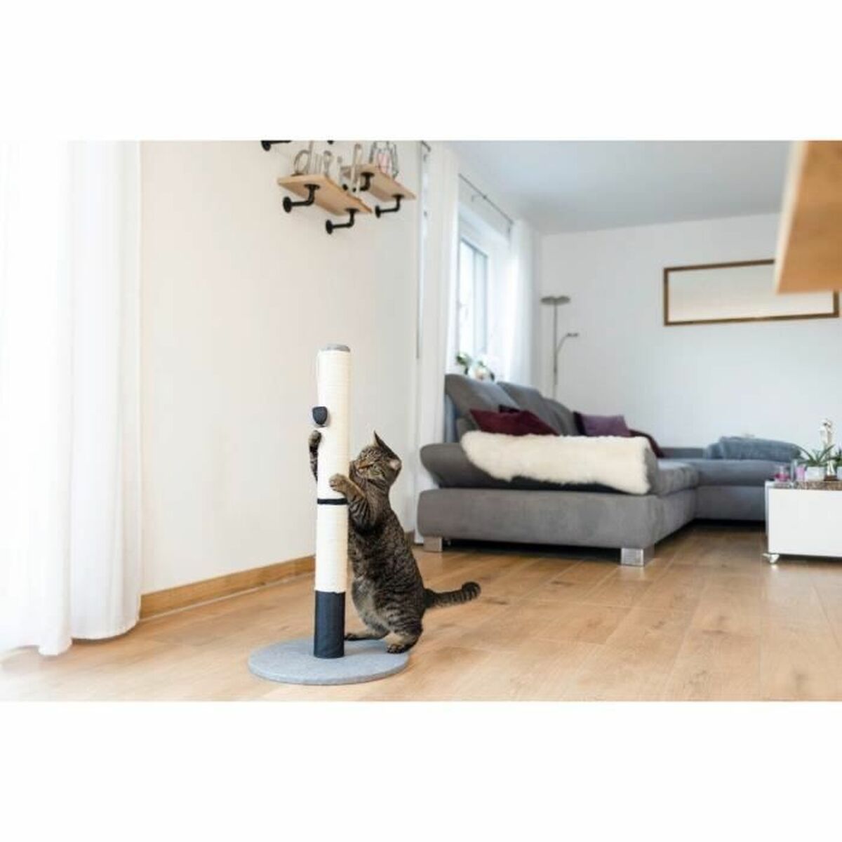 V4H9B1FC00B2AB9F081C486A85085AE6D77R5763411P4