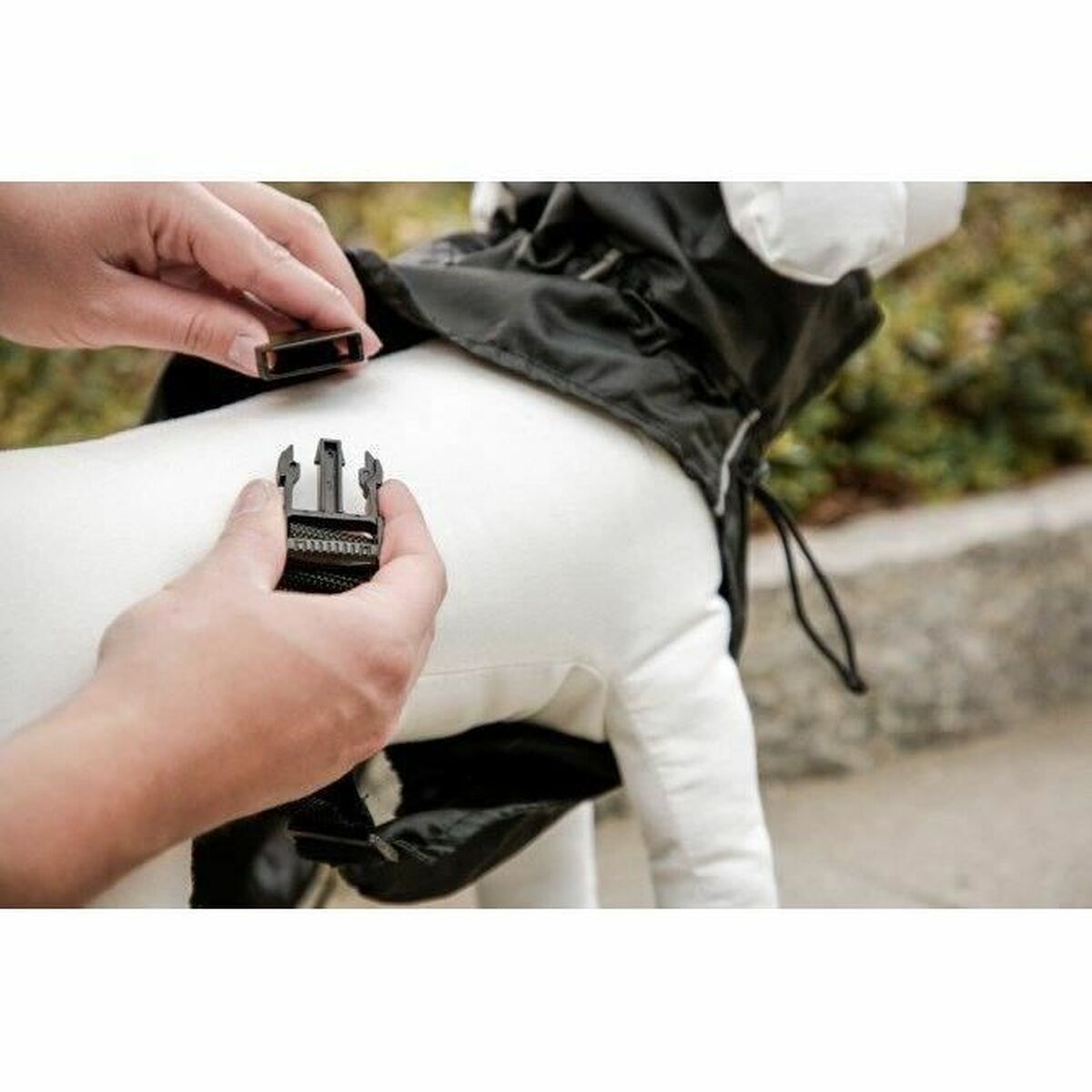 V5HC9169A28BFAD22244A607FDEF328D9C0R5807598P6