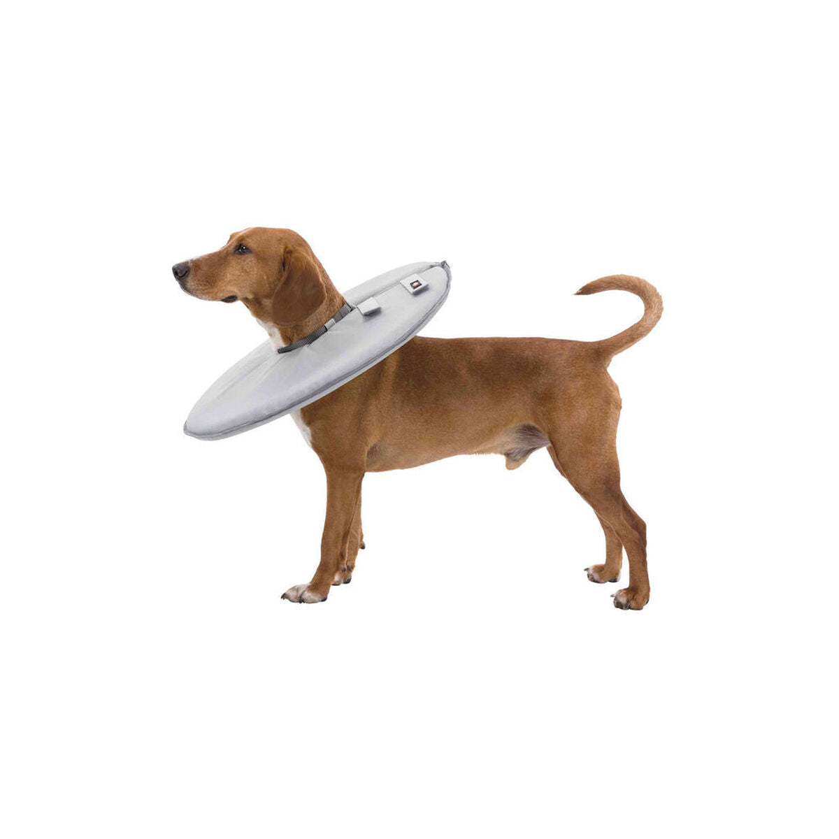 V7H75BF617A280186BDFCAC053BFB400A6DR7440265P7