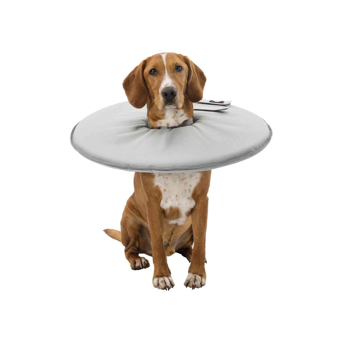 V6H2FCB1BA4717E74B23DF65F74609A8E9AR7440270P9