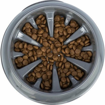 V7H530D1FE22CE1AFCCF27781A18E549D1CR7455435P6