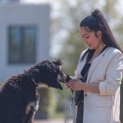 V7H7B5BB7BE70A0EE1D2DFF48DCE948D34AR5330470P6