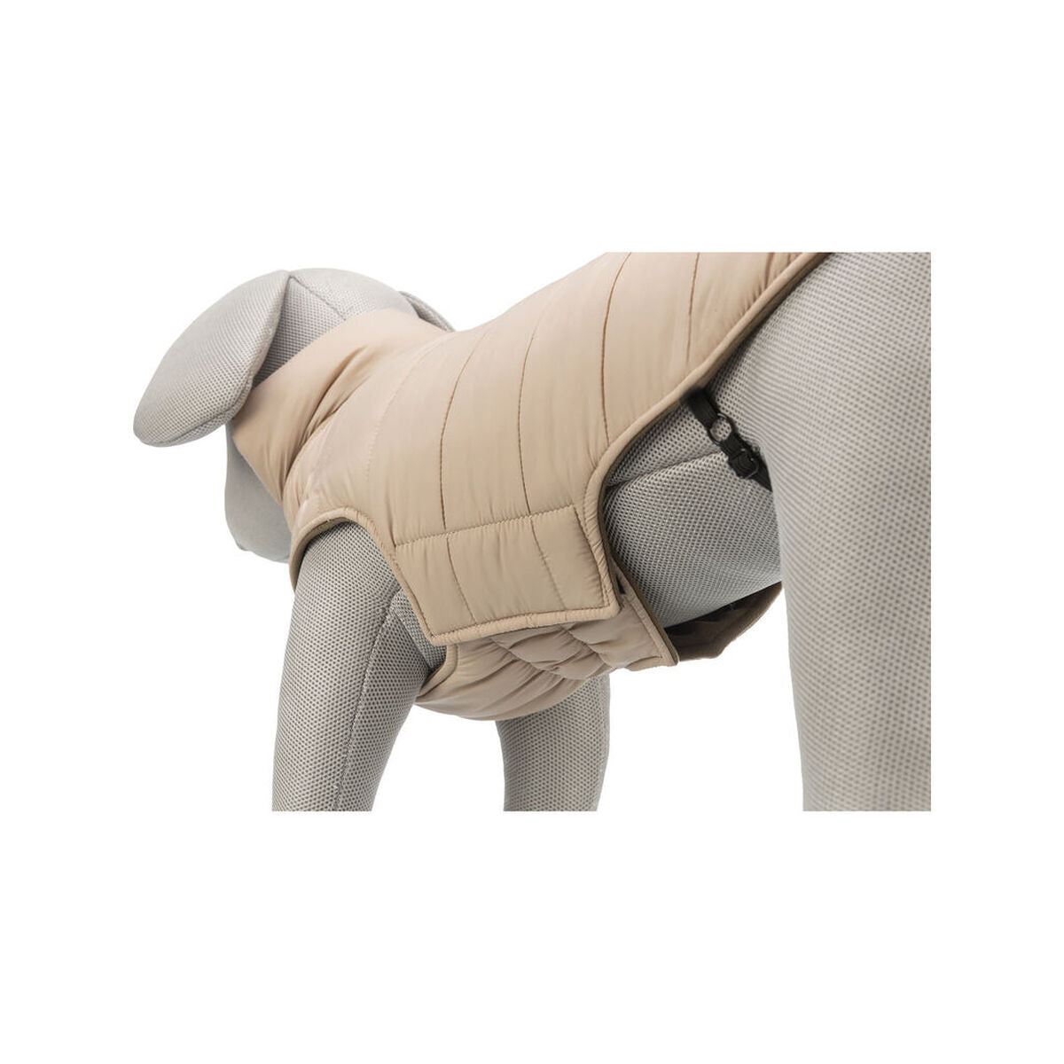 V7H8CD59DFC0F06C76367ABF7C66138F1E8R7461004P7