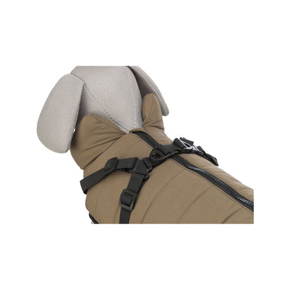 V7HAE22F6A73031D1F9525CDF12C96456C4R7461837P7