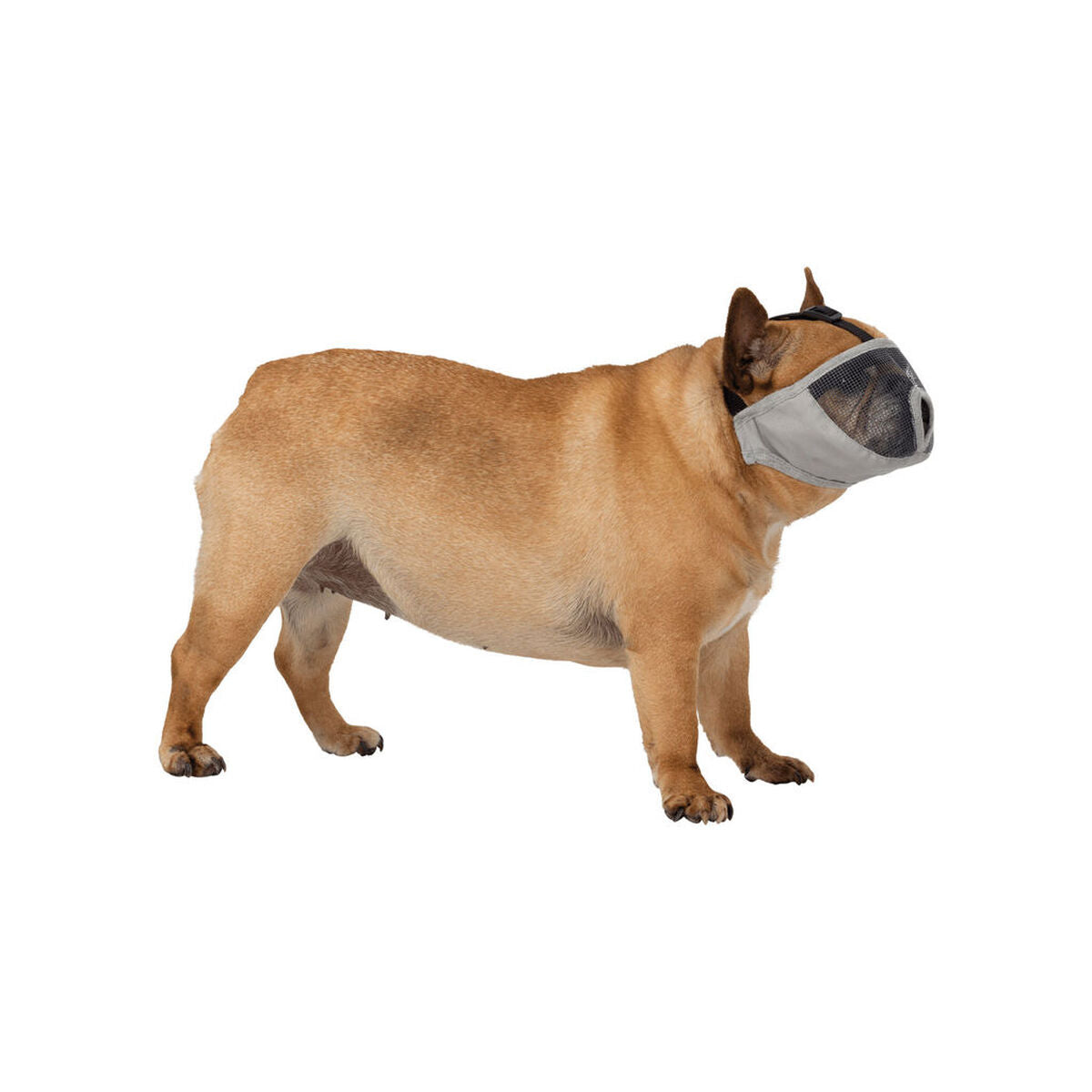 V7H1981D4E16B2E7A2E6625E750A90A5491R7441880P3