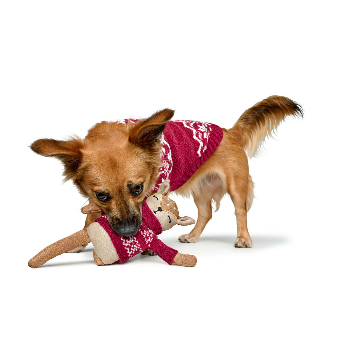 V4H9F4BFC82EF051DD0B29DFEC8EA0461E2R5574729P3