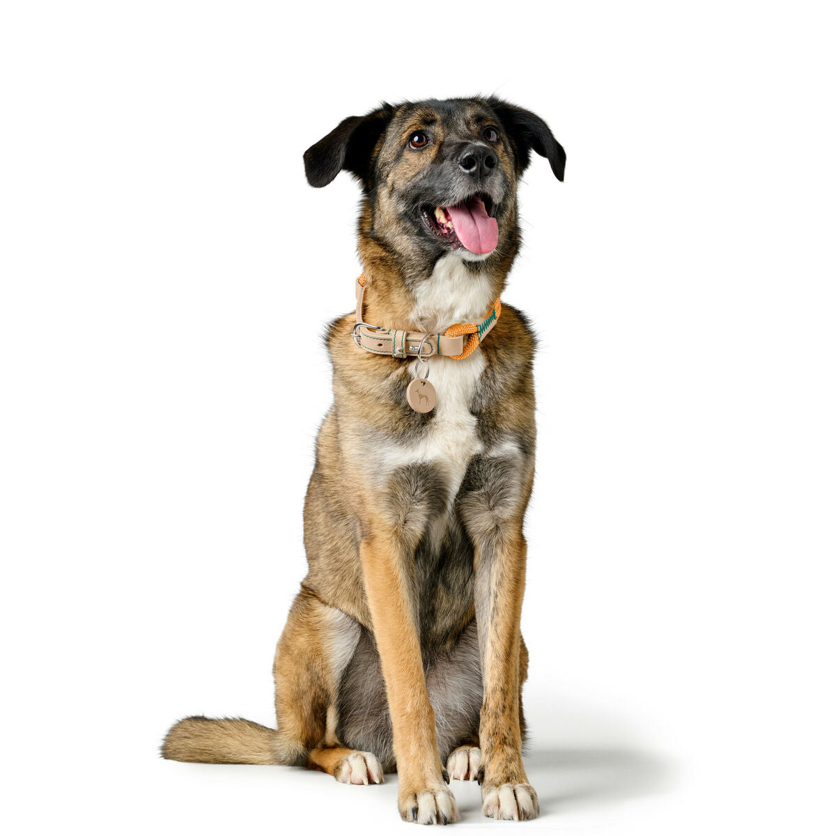 V4H3E76832AF8641BD50BA3667ACD7EAAC5R5575444P3