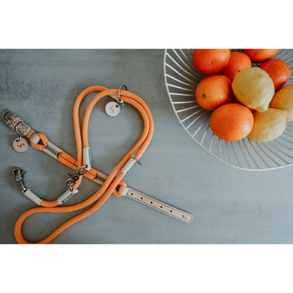 V4H6DFAE8297D94D55549E44A9E777B1B6DR5575452P6