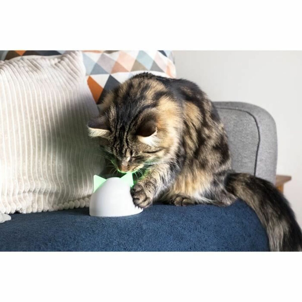 V8H1BDC6716293BC65F4D66B6769804C1FCR5304064P5