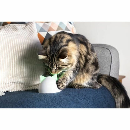 V7H1BDC6716293BC65F4D66B6769804C1FCR5304064P5