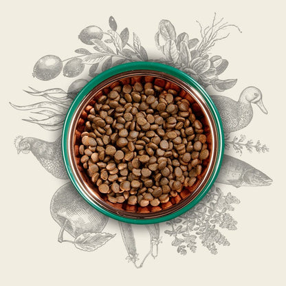 V4H012F617F635A9521386C21175BAD4B08R5624064P4