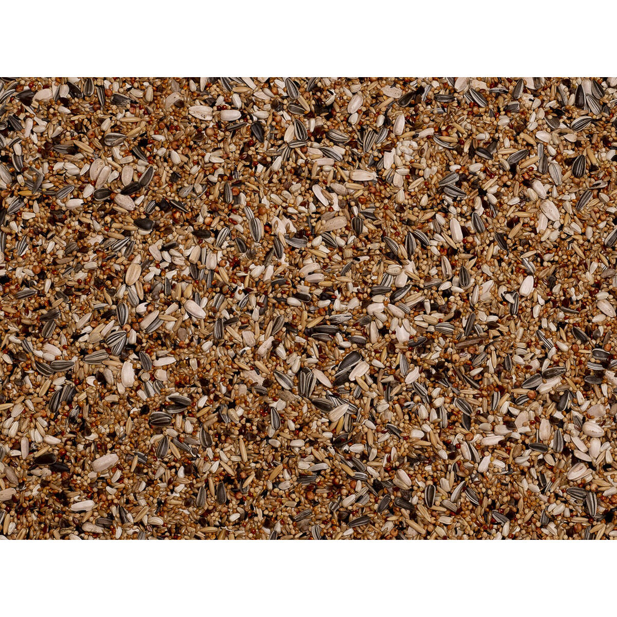 V5H1FF006D7A70F4038B42C7C402FF9E05AR7447924P3