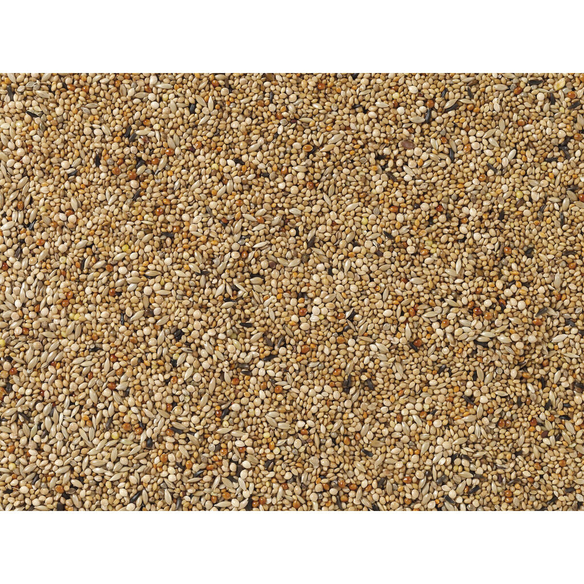 V7HE2F9A7C859C75DEDEAE50180F5B252F7R7450164P3