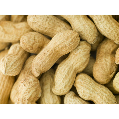 V5H2F9F25EC63120DA1E91F3600B0ED5193R7447879P3