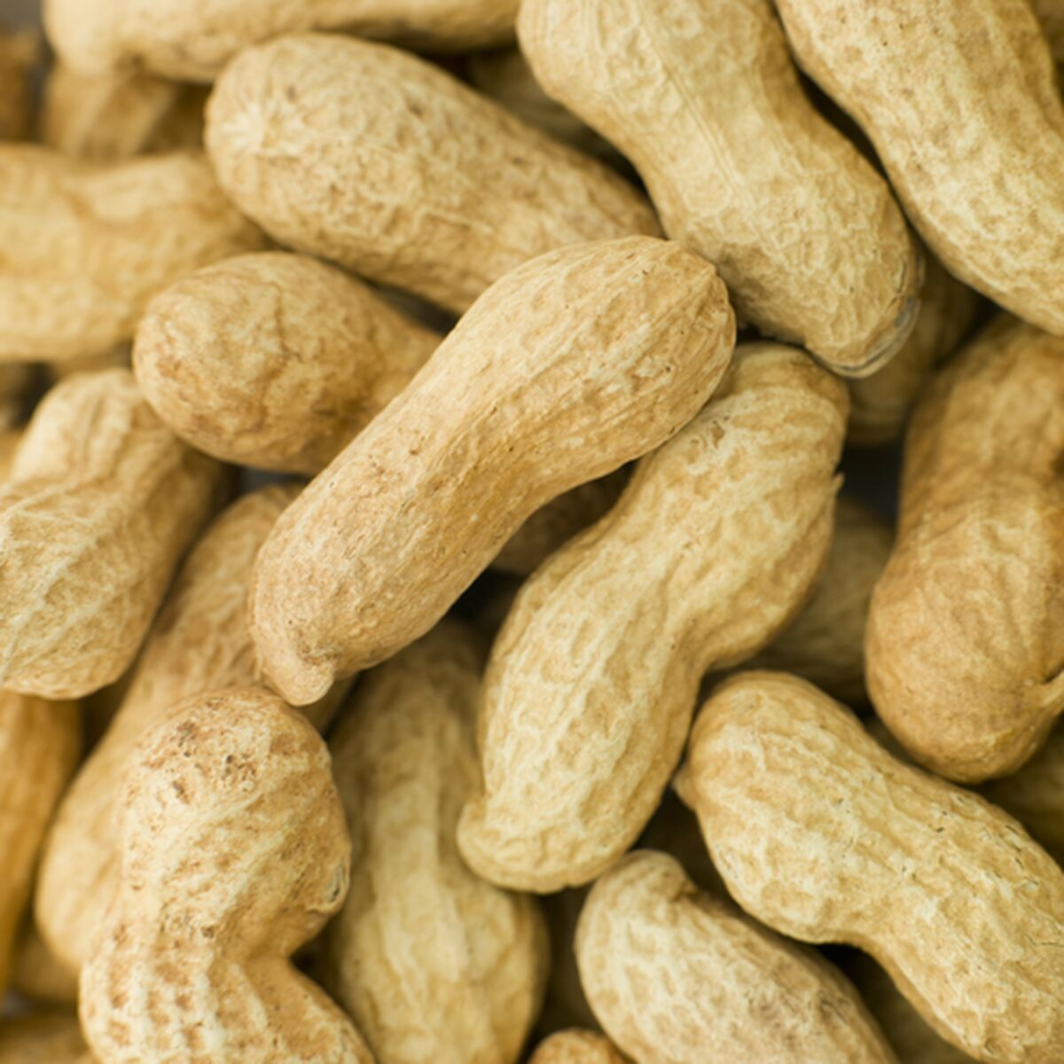 V5HAAB38BB9FBB7383ADD7578CEE74116A7R7447882P4