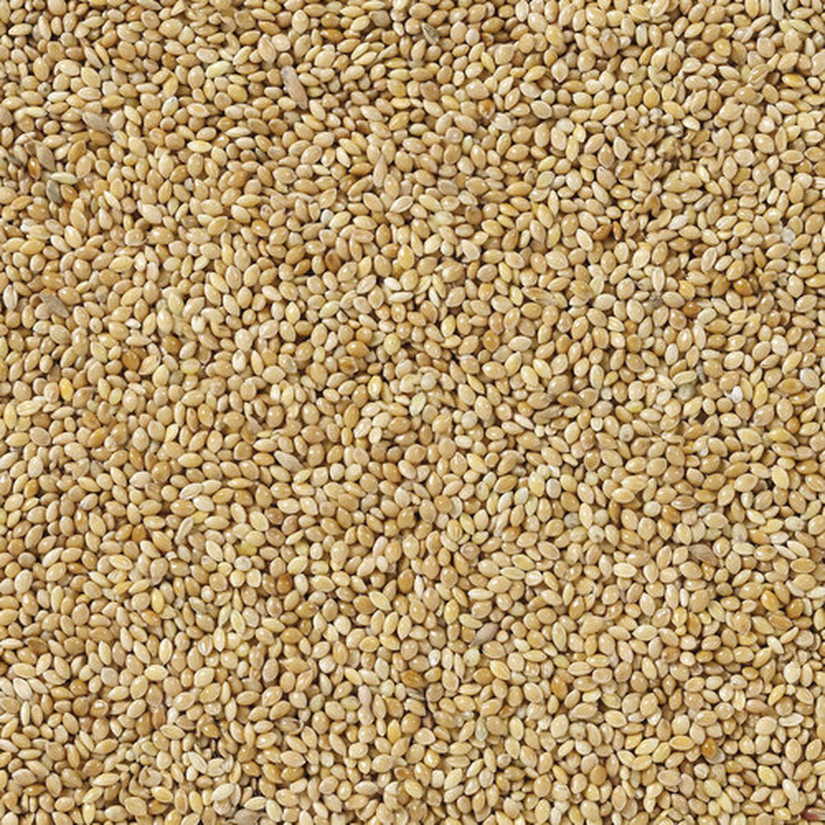 V6H2BF9156AA9C1E9E7F0FA712C40339509R7450059P4