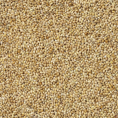 V6H2BF9156AA9C1E9E7F0FA712C40339509R7450059P4