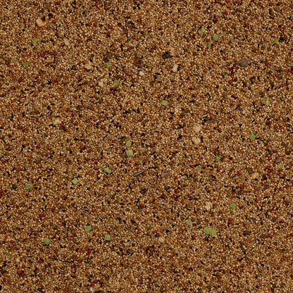 V6HED0C101FC74D76E098DF8ECC442FC0B2R7447954P4